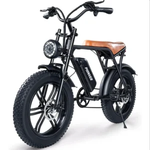 pionver p80 electric bike 20" 4.0 fat tyre